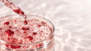 Pipetta di vetro che rilascia una goccia rubino in una capsula Petri con gel traslucido, bolle e riflessi di luce, Chrissie Cosmetics